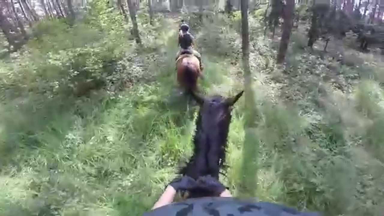 Forest Trial Rides
